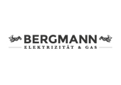 Logo Bergmann